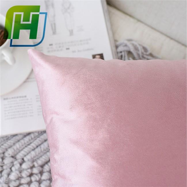 Shiny Velvet Cushion